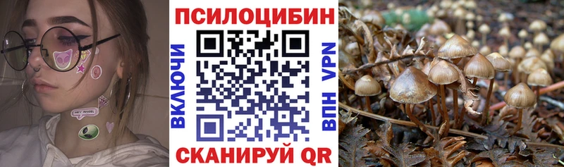 кракен как зайти Костерёво Галлюциногенные грибы Magic Shrooms